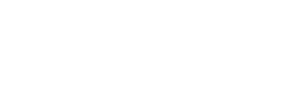Vita Férrea